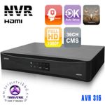 AVTECH AVH 316 | 16 Channel NVR