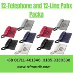Verbex 12-Telephone and 12-Line Pabx Package11 price in BD